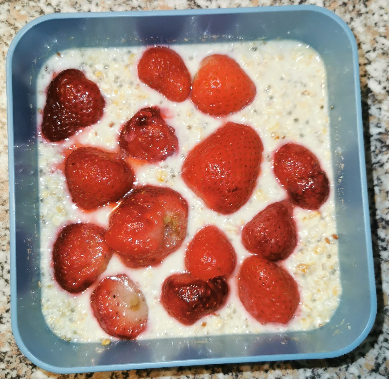 Overnight Protein Oats Basis